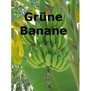 Grüne Banane