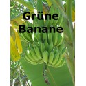 Grüne Banane