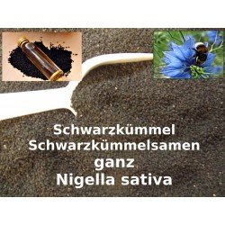 Schwarzkümmelsamen Nigella sativa Gewürz-Kochen-Backen Top-Qualitä