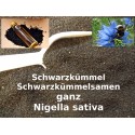 Schwarzkümmelsamen Nigella sativa Gewürz-Kochen-Backen Top-Qualitä