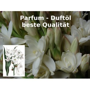 Tuberose Parfumöl