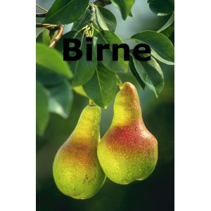 Birne