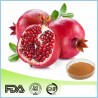 Granatapfel Extract