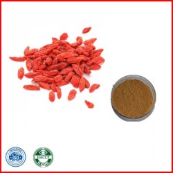 Goji Beeren Extract  10 : 1