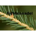 Fichtennadel