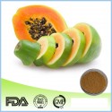 Papaya Extract Pulver Carica papaya reines Pulver