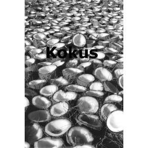 Kokus