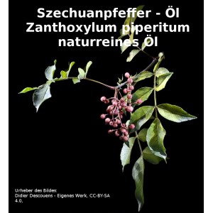 Szechuanpfeffer Öl  (Zanthoxylum piperitum) naturreines ätherisches Öl