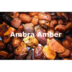 Ambra Amber