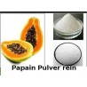 Papain Pulver (aus Papaya) - reines Papain