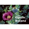 Opium - Byzanz
