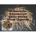 Afrik. Traumwurzel ganze Stücke/ Silene Capensis/Undata 