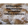 Afrik. Traumwurzel gemahlen Silene Capensis / Undata reine Natur