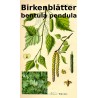 Birkenblätter Birkenblättertee Betula pendula ph. Eur