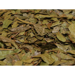 Bobinsana (Calliandra Angustifolia) ganze Blätter aus Peru