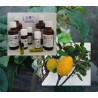 Citrus Medica Zitronatzitrone 100% reines ätherische Öle von "Mäc Spice"