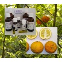 Bitter Orange / Pommeranzen Öl Citrus aurantium 100% naturreine Öle