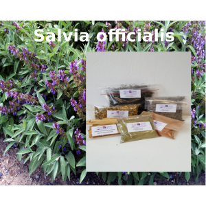 Salbeiblätter geschnitten salvia officialis Salbei Tee