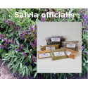 Salbeiblätter geschnitten salvia officialis Salbei Tee