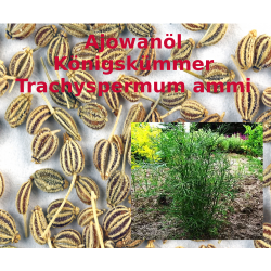 Ajowanöl Königskümmelöl naturrein Trachyspermum ammi