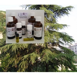 Zedernholzöl Himalaya cedrus deodora 100% naturreines Öle Mäc Spice