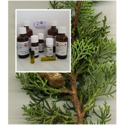 Zypressenöl 100% Cupressus sempervirens naturreines Öl von Mäc Spice