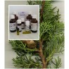 Zypressenöl 100% Cupressus sempervirens naturreines Öl von Mäc Spice