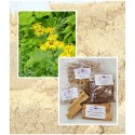 Alant Wurzel gemahlen-Inula helenium- Naturprodukt von Mäc Spice