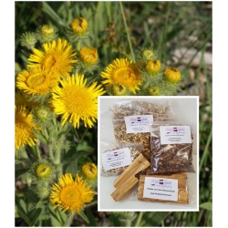 Arnikablüten ganz mexikanisch Arnica montana Echte Arnika Natur Mäc Spice