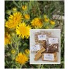 Arnikablüten ganz mexikanisch Arnica montana Echte Arnika Natur Mäc Spice