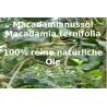 Macamianussl raffiniert  Macadamia ernifolia reines Öl