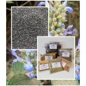  Chia Samen (Salvia hispanica)  Nahrungsergänzung "Mäc Spice" Qualität