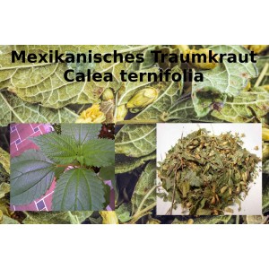 Traumkraut mexikanisch Calea zacatechichi  100% reine Naturkräuter "Mäc Spice"