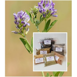 Luzerne Kraut gemahlen  1A Alfalfa Medicago sativa Mäc Spice Natur