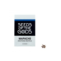Mapacho (Nicotiana rustica) Samen 20 Samen Packung