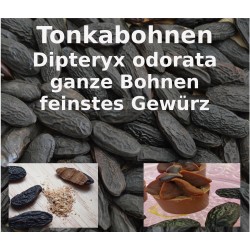 Tonkabohnen ganz Dipteryx odorata Glücksbohnen Wunschbohne Würzen Backen