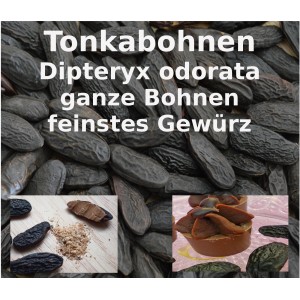 Tonkabohnen ganz Dipteryx odorata Glücksbohnen Wunschbohne Würzen Backen