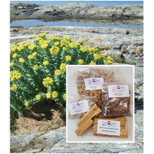 Rosenwurz geschnitten Rhodiola rosea reine Kräuter "Mäc Spice