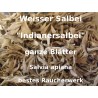 Weisser Salbei Salvia apiana bester Indianersalbei White sage lose 