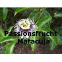 Passionsfrucht Maracuja