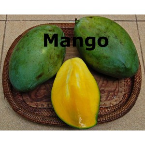 Mango